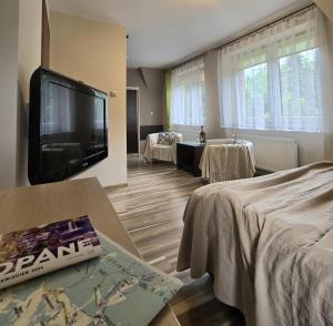 Televízia a/alebo spoločenská miestnosť v ubytovaní Willa Jagiellonka apartamenty w centrum, parking