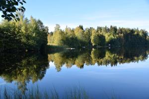 jezioro z drzewami odbijającymi się w wodzie w obiekcie Mullsjö Folkhögskola w mieście Mullsjö