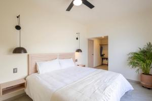 Postel nebo postele na pokoji v ubytování Cabo Break Hotel