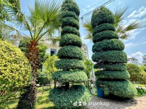Zahrada ubytování A-Vila