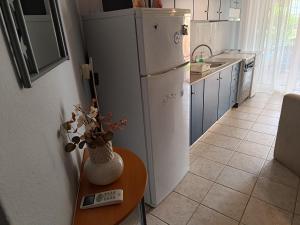 Kuchyň nebo kuchyňský kout v ubytování Apartment R&F1
