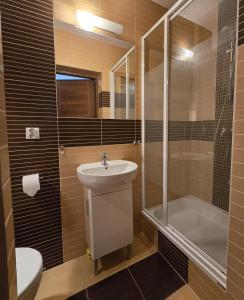 Kúpeľňa v ubytovaní Willa Jagiellonka apartamenty w centrum, parking