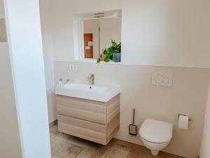 a bathroom with a sink and a toilet at Ferienwohnungen Maria Maier in Gstadt am Chiemsee +22 photos