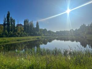 a river with the sun reflecting on the water at Colorado in Gdańsk
