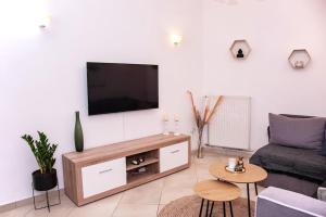 TV a/nebo společenská místnost v ubytování Sotiris Apartment