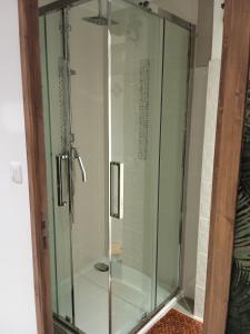 a shower with a glass door in a bathroom at La Salamandre in Saint-Côme-de-Fresné