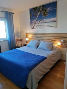 a bedroom with a large bed with a blue blanket at Holaias Holidays in Lisbon