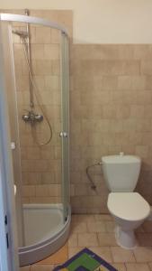 uma casa de banho com um chuveiro, um WC e uma banheira em Hotel Nico em Spindleruv Mlyn