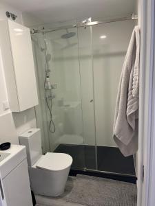 a bathroom with a shower with a toilet and a sink at Apartamento Brisa do Mar in Sesimbra
