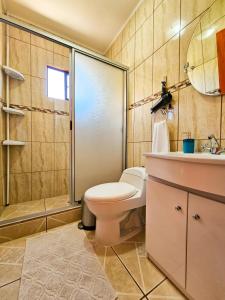 a bathroom with a toilet and a shower at Lodge Ancar Atacama in San Pedro de Atacama