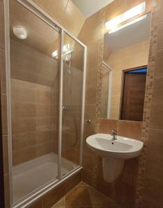 Kúpeľňa v ubytovaní Willa Jagiellonka apartamenty w centrum, parking