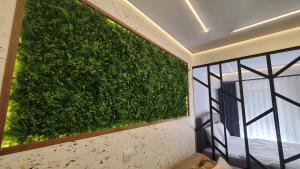 Luki's Centre Apartment في بريشتيني: جدار أخضر في غرفة مع نافذة