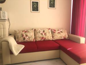 Χώρος καθιστικού στο Apartment Alex Sveti Vlas +45 φωτογραφίες