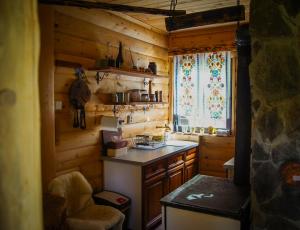a kitchen in a log cabin with a window at Na samote u lesa in Revúca