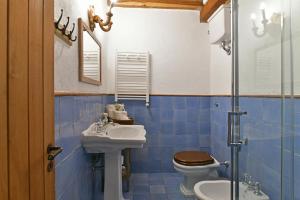 Terre Di Himera في Buonfornello: حمام من البلاط الأزرق مع حوض ومرحاض