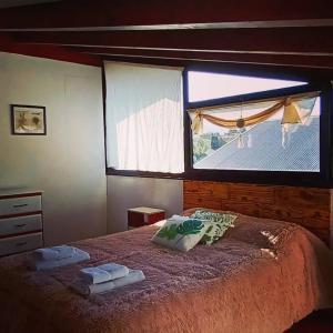 a bedroom with a bed with a large window at Cabañas Abedul in Lago Meliquina