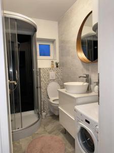 uma casa de banho com um WC, um lavatório e um chuveiro em Apartman Dukić em Okrug Gornji