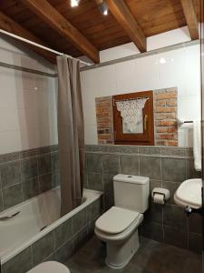 a bathroom with a toilet and a tub and a sink at Carroceu Rural in Cangas de Onís