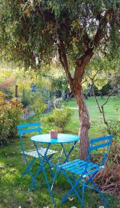 ルマンにあるChambre 5 mn de la gare - Tres beau jardinのギャラリーの写真