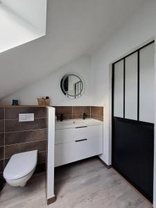 a bathroom with a white toilet and a mirror at Chambre 5 mn de la gare - Tres beau jardin in Le Mans