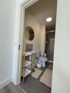 桑德福德的住宿－Luxury King Size Bed Sandyford Mountain View，一间带水槽、卫生间和镜子的浴室
