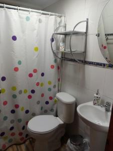 uma casa de banho com um WC e uma cortina de chuveiro em Cabaña florencia em Coquimbo