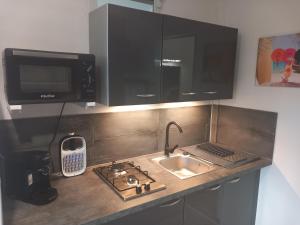 Kuchyň nebo kuchyňský kout v ubytování Studio avec jardin Morne des Esses + 10 fotografií