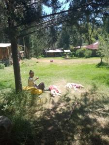 a woman sitting under a tree next to two dogs at Tony's House Eco Hostel in Huaraz
