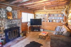 een woonkamer met open haard en tv bij Bear Bait Cabin In Upper Valley With High Speed Wifi in Red River