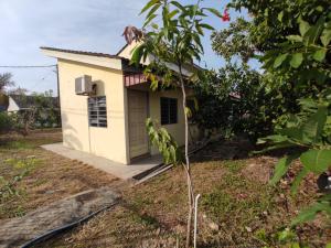 a small house with a bird perched on a tree at Roomstay Dekat Pekan in Kangar