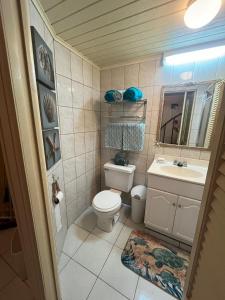 La petite salle de bains est pourvue de toilettes et d'un lavabo. dans l'établissement Sealofts On The Beach, à Frigate Bay