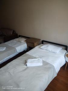 two beds sitting next to each other in a room at tsogoo's geust house in Ulaanbaatar