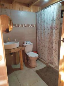 a bathroom with a toilet and a sink and a shower at Cabaña Lugar de paz in Villa Mills +16 photos
