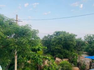 Imagen de la galería de NeemTree Homestay NewHampi, en New Hampi