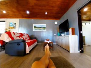 Fotografie z fotogalerie ubytování MOOREA - Manihini Beach Fare v destinaci Maatea