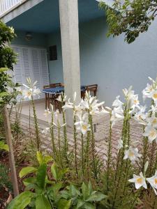 a bunch of white flowers in front of a house at Apartments Blue House in Korčula