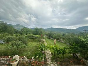 a garden with plants and trees and mountains in the background at VILA DISHA in Tirana