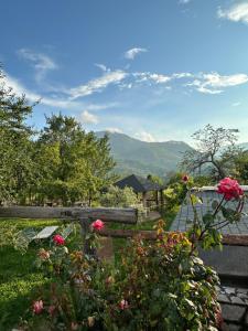 a view of the mountains from a garden at VILA DISHA in Tirana