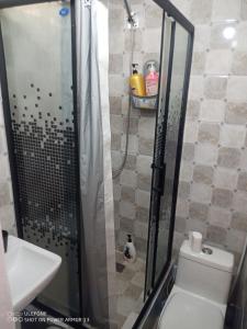 a bathroom with a shower with a toilet and a sink at tsogoo's geust house in Ulaanbaatar