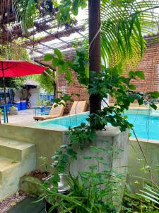 una piscina con una palmera y una sombrilla roja en Seconds Colombo en Colombo