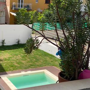 una planta en una olla junto a una piscina en Bellini, en Cagliari