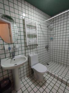 ein Badezimmer mit einem Waschbecken, einem WC und einem Spiegel in der Unterkunft Guest House Bolnisi - Green Apartment in Bolnisi