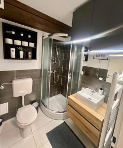 a bathroom with a shower and a toilet and a sink at Sport & Sunny Cosy Alpine Retreat in Kranjska Gora