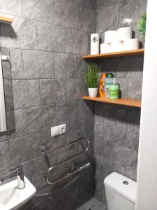 A bathroom at Pie dzintara jūras