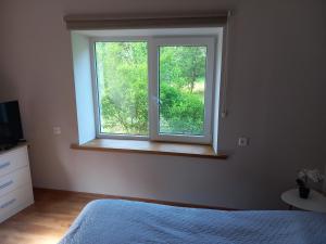 1 dormitorio con ventana, cama y vestidor en Pie dzintara jūras en Apšuciems