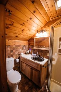 een badkamer met een toilet en een wastafel bij Grayling Gem Royal Stag Serene 6BDR Lodge 5605 in Grayling