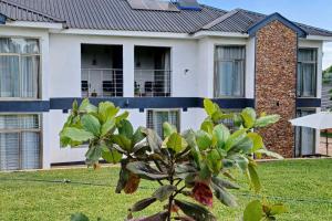 a house with a tree in front of it at Divine Heights Apartments Lilongwe Area 43 in Lilongwe