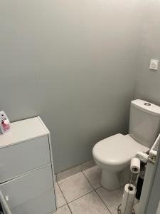 a bathroom with a white toilet and a white cabinet at Appartement RDC Dinan in Dinan