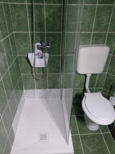 y baño con aseo y ducha. en Pensiunea Orion, en Costinesti