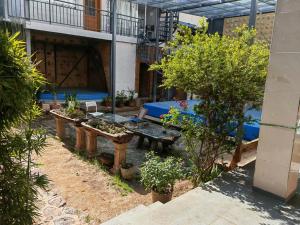 Zahrada ubytování Lijiang Adventure Inn